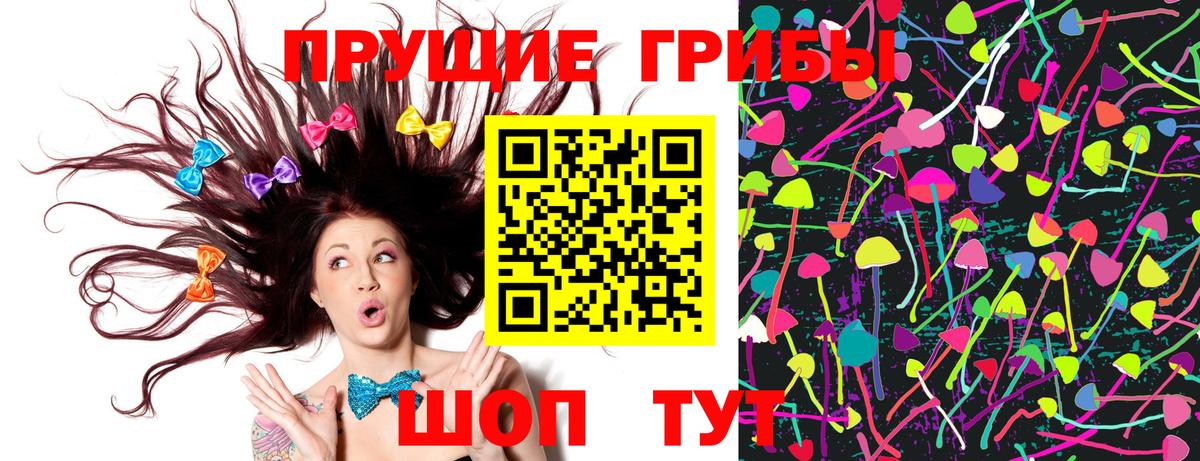 Галлюциногенные грибы мухоморы  Вход с VPN  Фрязино  Галлюциногенные грибы Psilocybe 