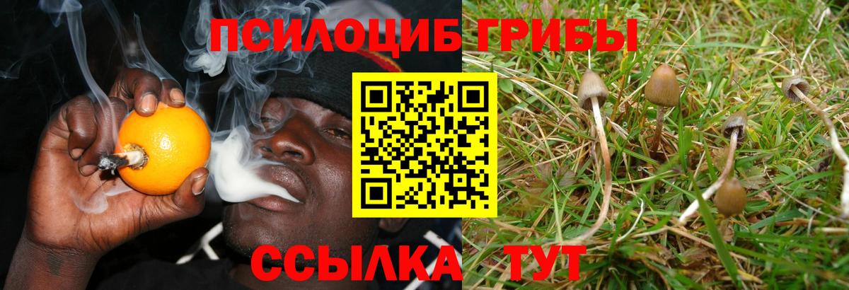 Галлюциногенные грибы Magic Shrooms Фрязино