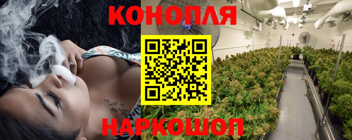 Бошки Шишки OG Kush Фрязино